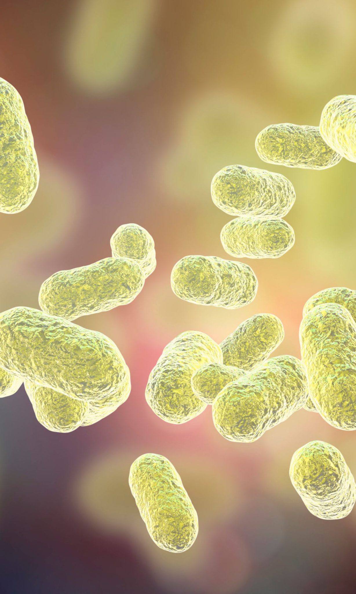 Salud Oral qué es el microbioma bucal Clínica Kranion