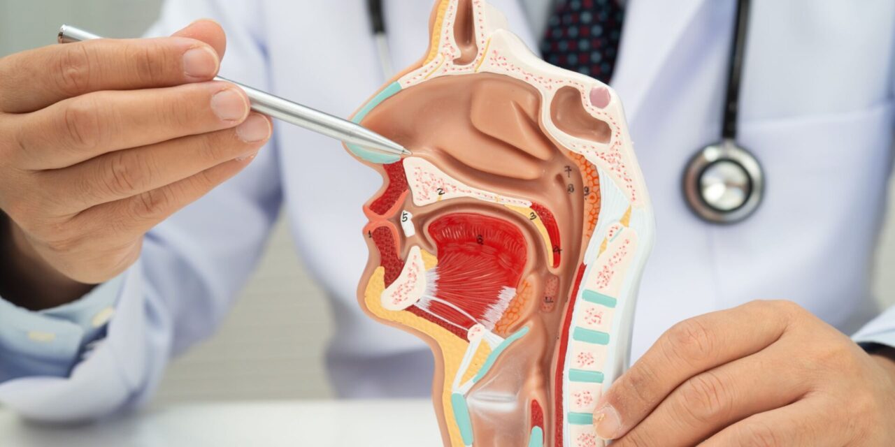 Medicina dental del sueño
